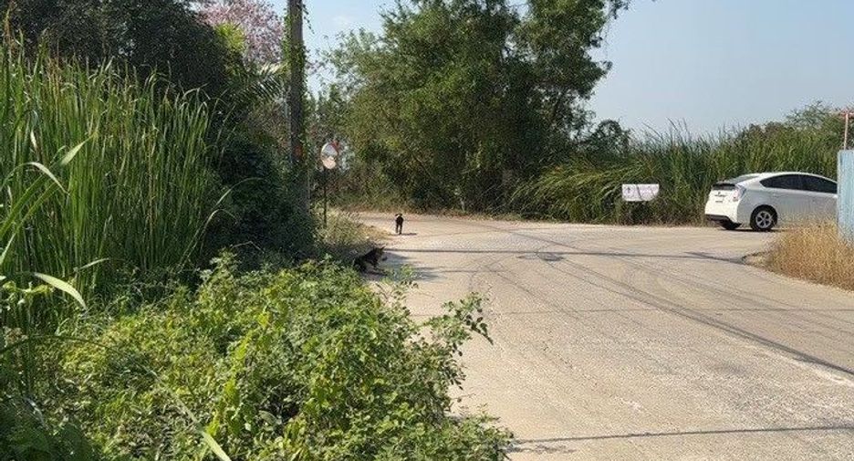 For sale land in Bang Len, Nakhon Pathom