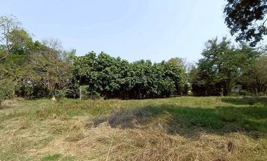 For sale 5 bedrooms house in Doi Saket, Chiang Mai