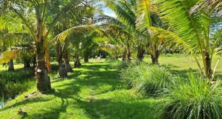 Продажа Участок в Chaloem Phra Kiat, Nakhon Si Thammarat