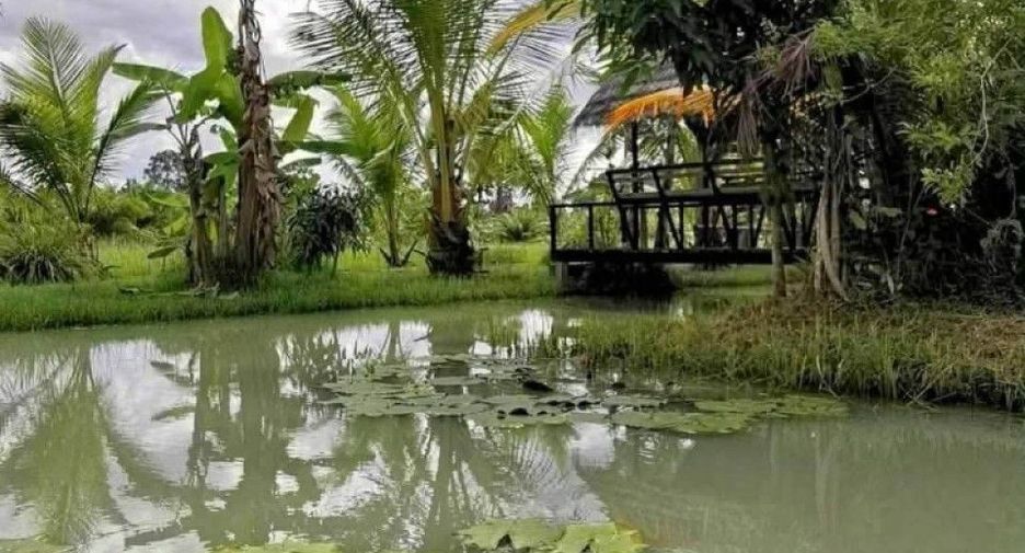 Продажа Участок в Chaloem Phra Kiat, Nakhon Si Thammarat