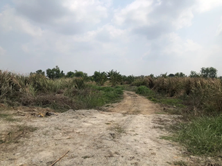 出售 土地 在 Mueang Chachoengsao, Chachoengsao