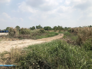 出售 土地 在 Mueang Chachoengsao, Chachoengsao