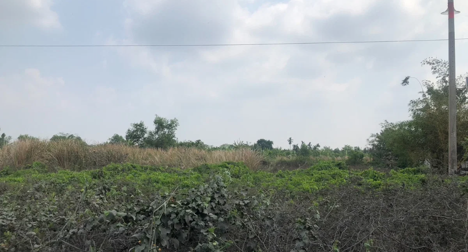 ขาย ที่ดิน ใน เมืองฉะเชิงเทรา, ฉะเชิงเทรา