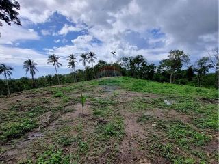 For sale land in Ko Samui, Surat Thani