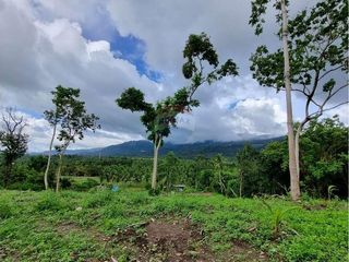 For sale land in Ko Samui, Surat Thani