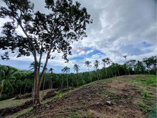 For sale land in Ko Samui, Surat Thani