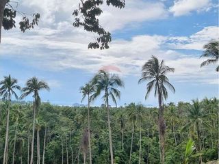 For sale land in Ko Samui, Surat Thani