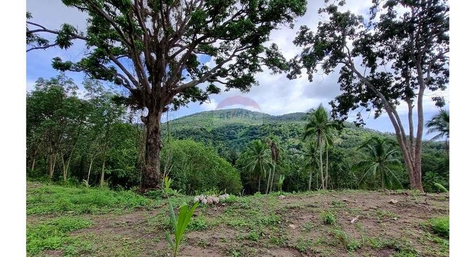 For sale land in Ko Samui, Surat Thani
