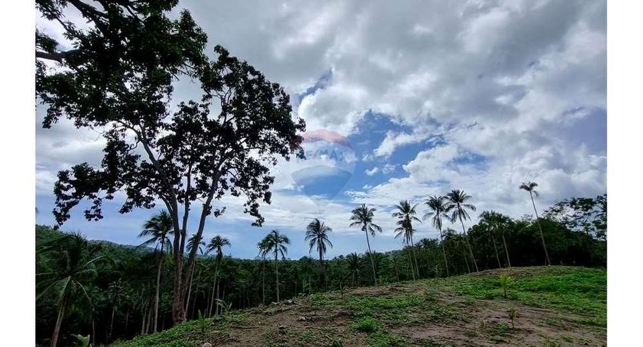 For sale land in Ko Samui, Surat Thani
