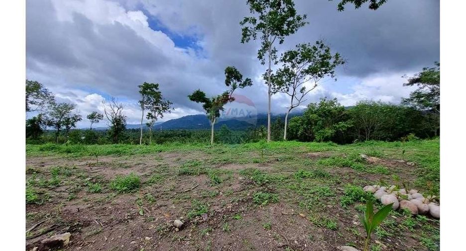 For sale land in Ko Samui, Surat Thani