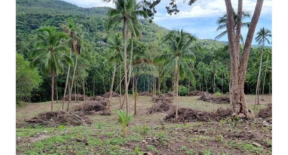 For sale land in Ko Samui, Surat Thani