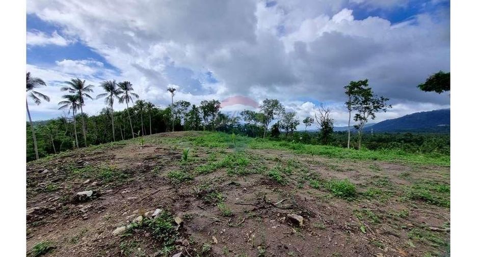 For sale land in Ko Samui, Surat Thani