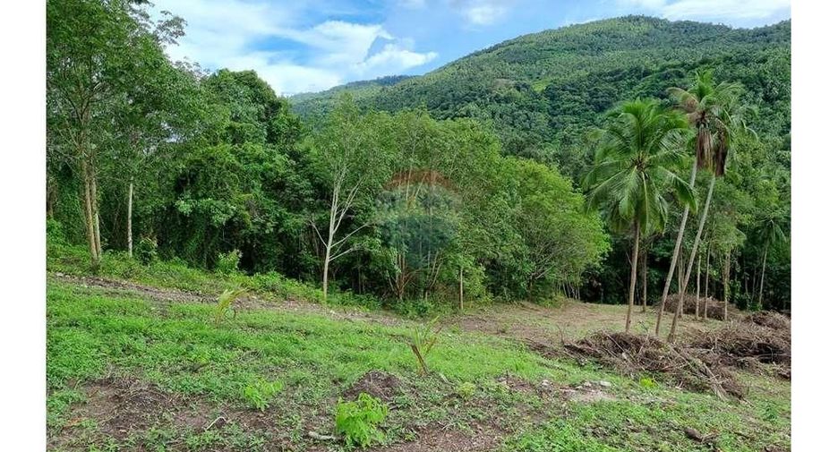 For sale land in Ko Samui, Surat Thani