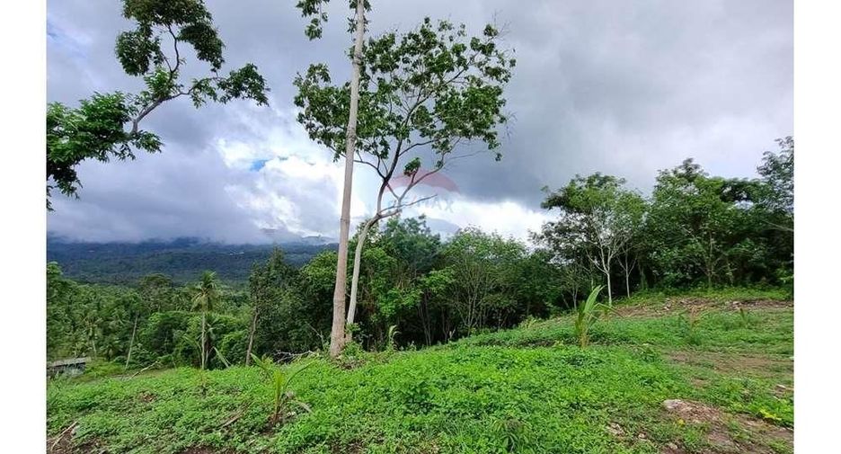 For sale land in Ko Samui, Surat Thani