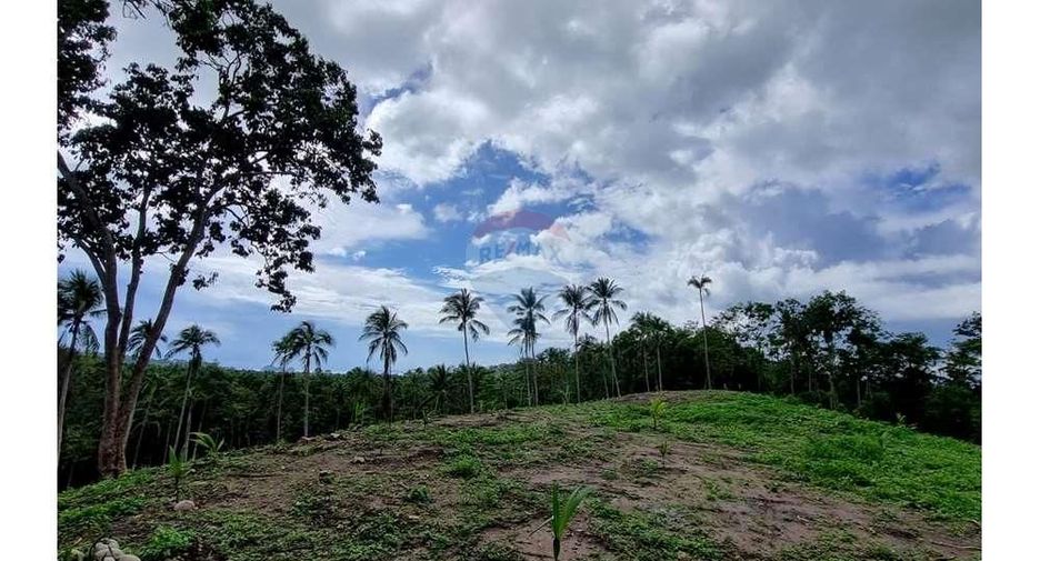 For sale land in Ko Samui, Surat Thani