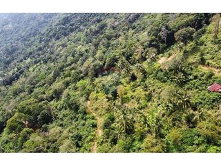For sale land in Ko Samui, Surat Thani
