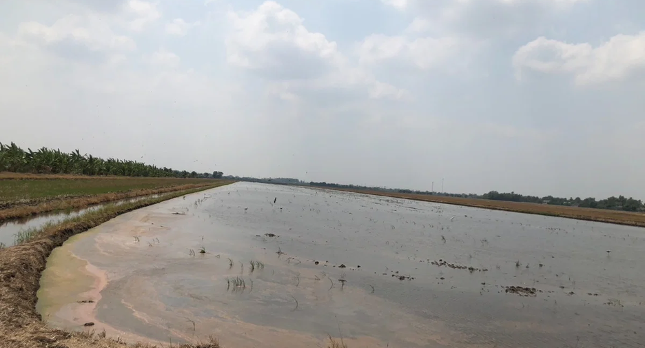 ขาย ที่ดิน ใน เมืองฉะเชิงเทรา, ฉะเชิงเทรา