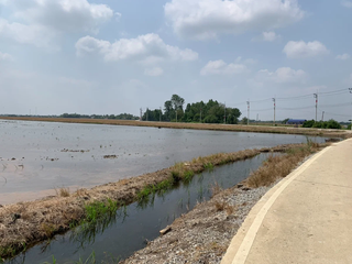 出售 土地 在 Mueang Chachoengsao, Chachoengsao