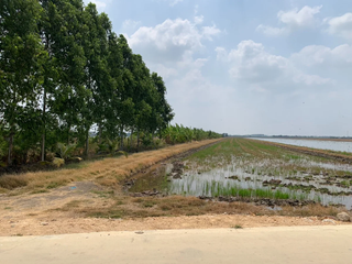 出售 土地 在 Mueang Chachoengsao, Chachoengsao