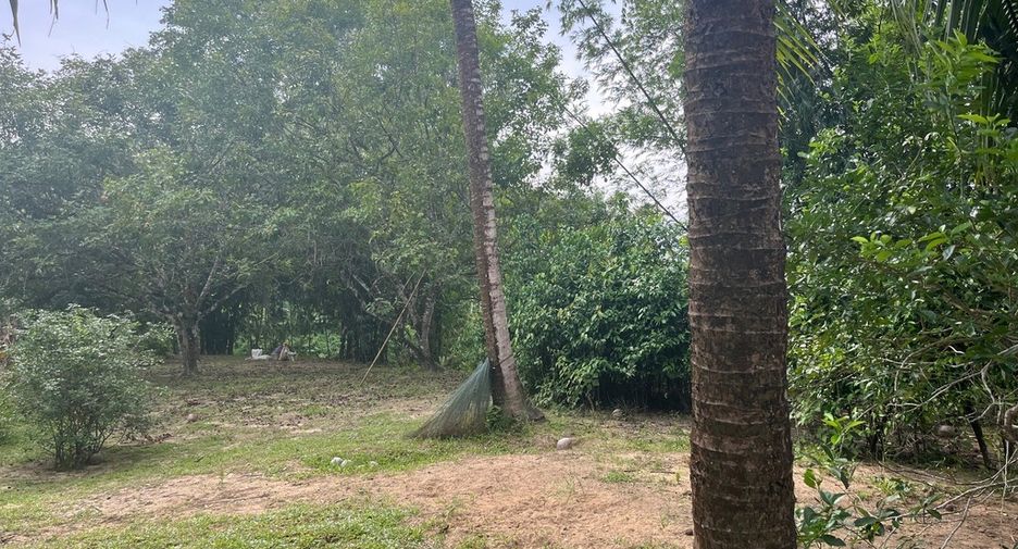 For sale land in Thai Mueang, Phang Nga