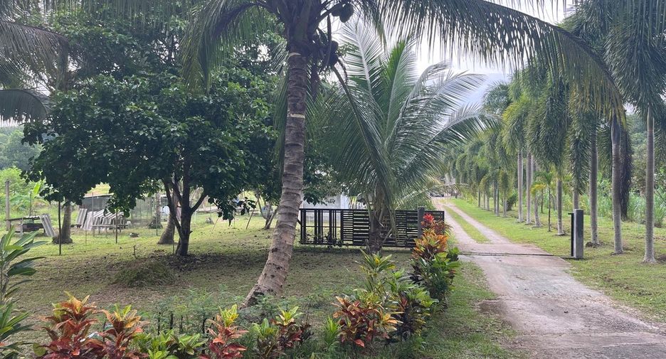 For sale land in Thai Mueang, Phang Nga