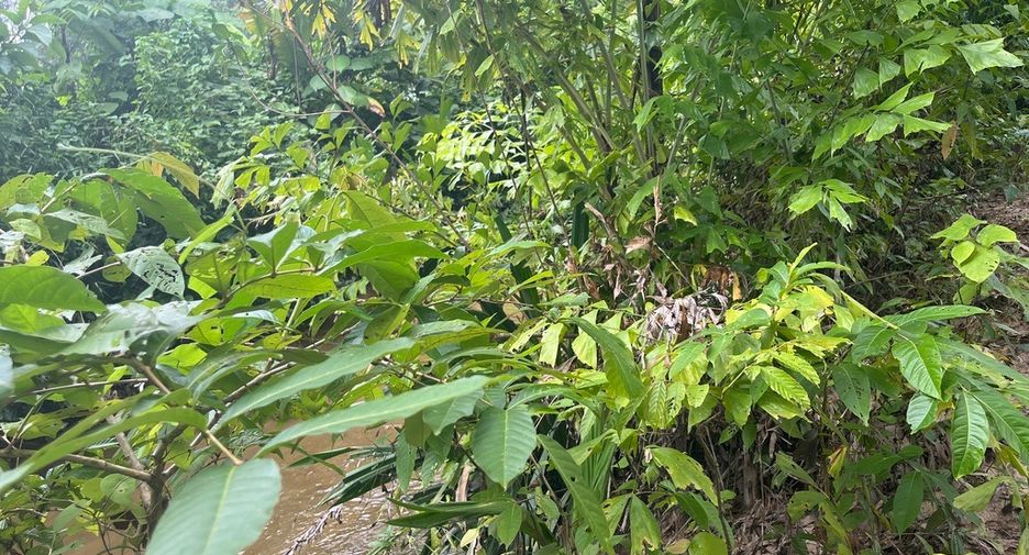 For sale land in Thai Mueang, Phang Nga