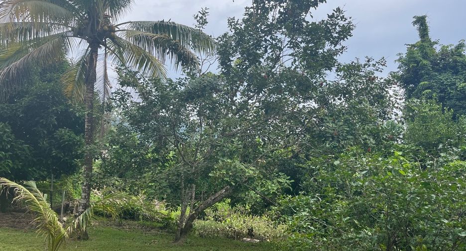 For sale land in Thai Mueang, Phang Nga
