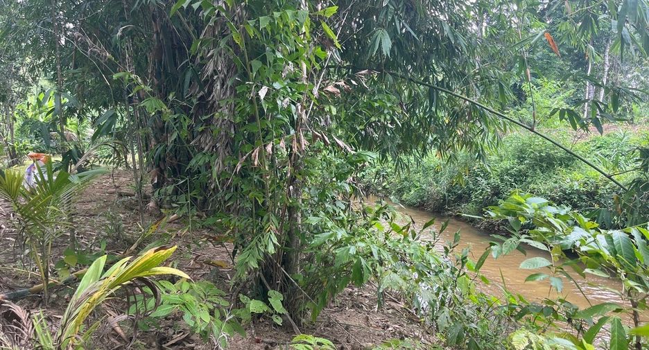 For sale land in Thai Mueang, Phang Nga