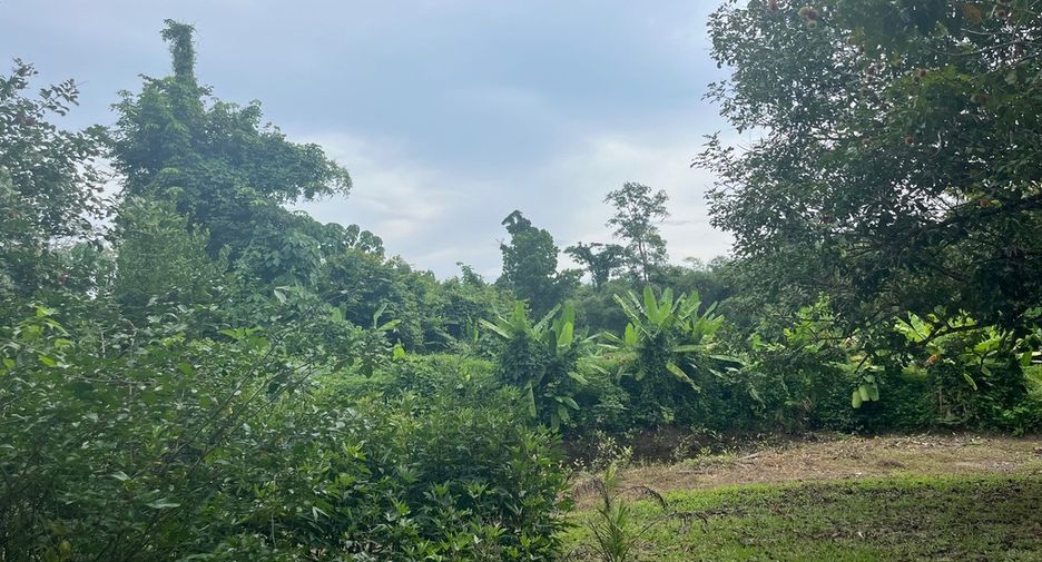 For sale land in Thai Mueang, Phang Nga