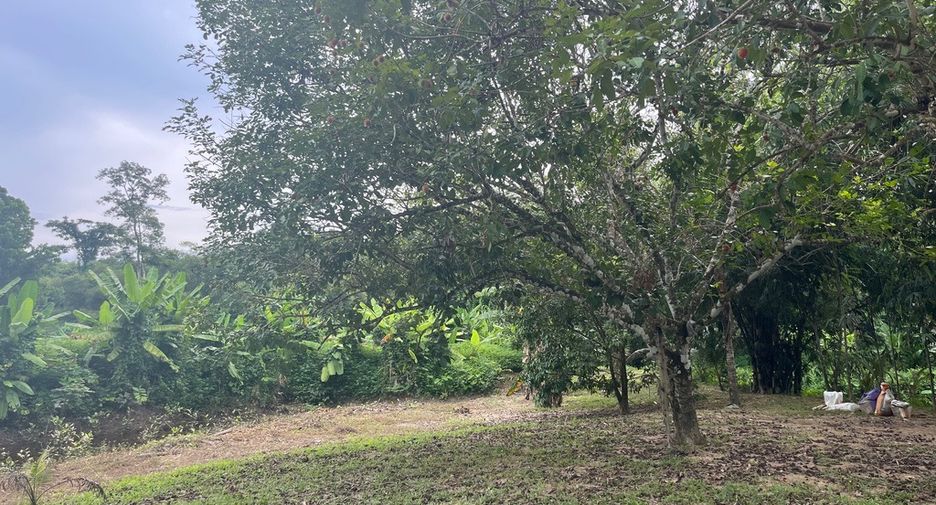 For sale land in Thai Mueang, Phang Nga