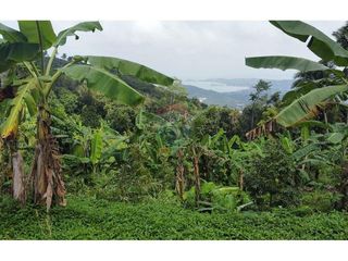 For sale land in Ko Samui, Surat Thani