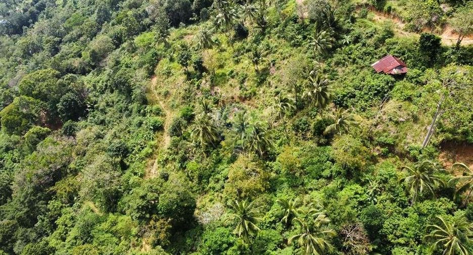 For sale land in Ko Samui, Surat Thani