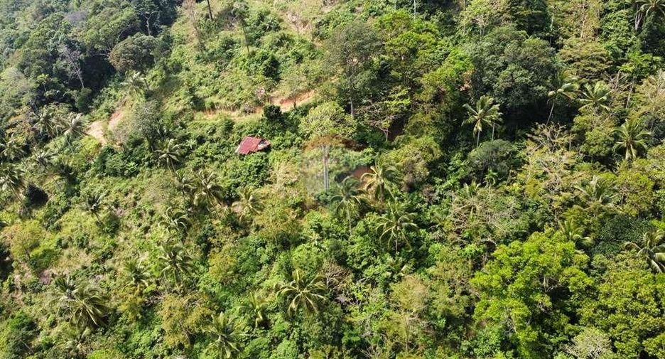 For sale land in Ko Samui, Surat Thani
