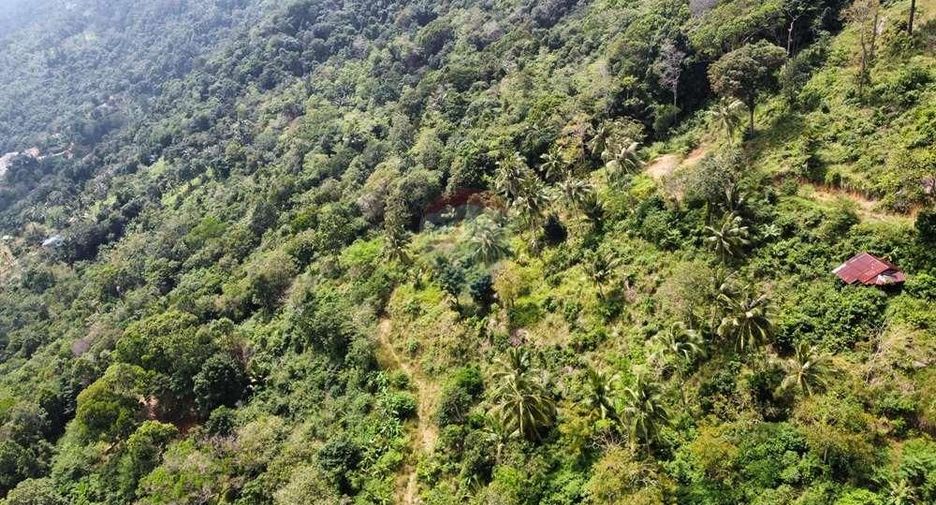 For sale land in Ko Samui, Surat Thani