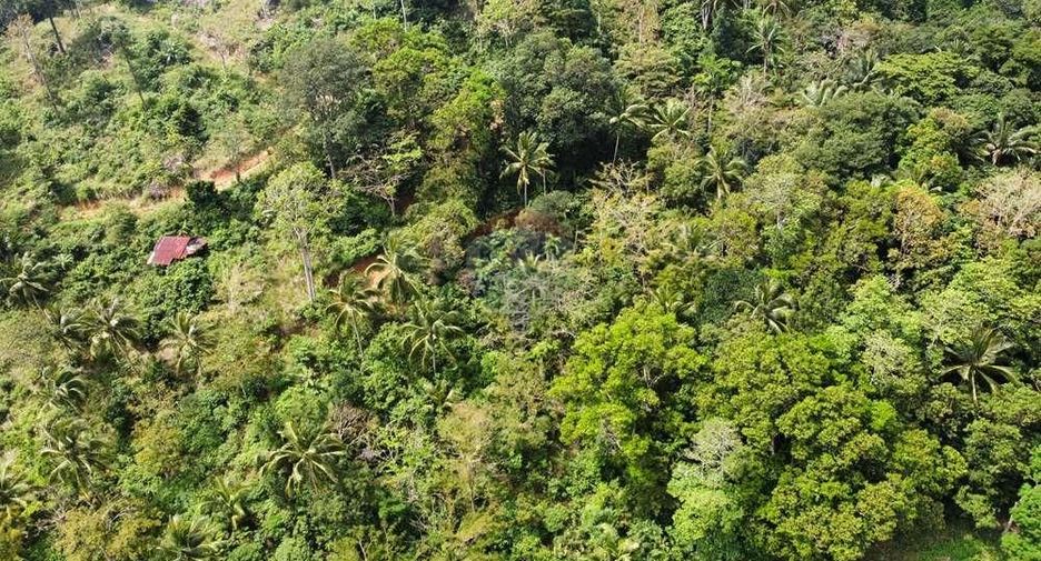 For sale land in Ko Samui, Surat Thani