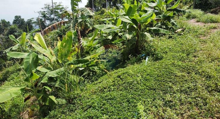 For sale land in Ko Samui, Surat Thani