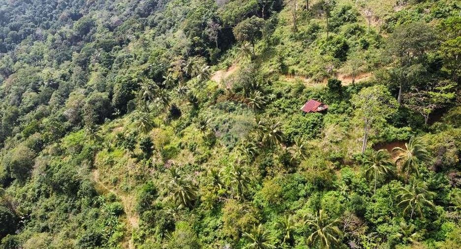 For sale land in Ko Samui, Surat Thani