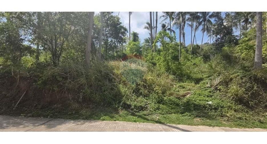 For sale land in Ko Samui, Surat Thani