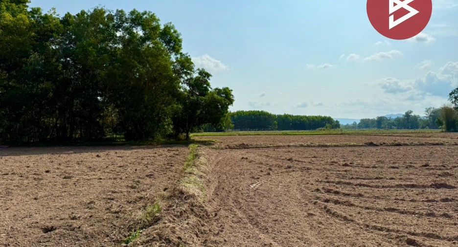 À vendre terrain à Pak Phli, Nakhon Nayok