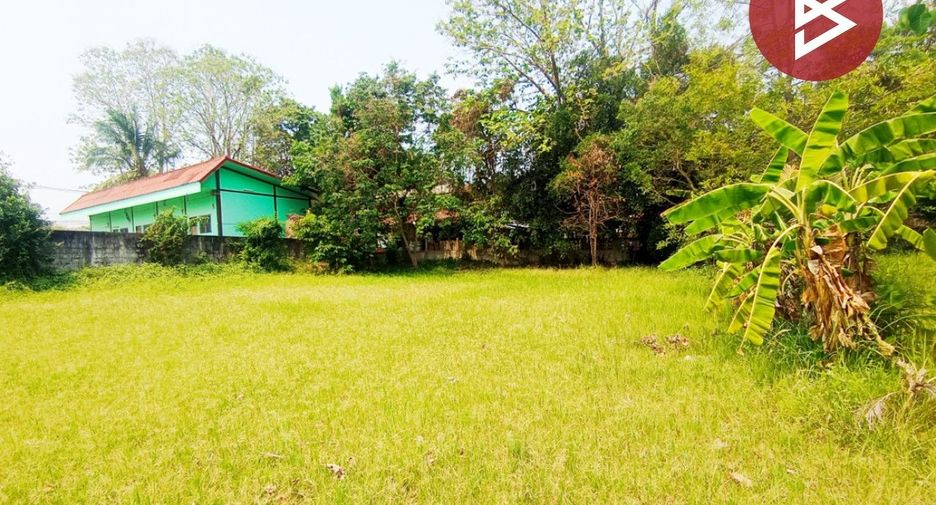 For sale land in Phang Khon, Sakon Nakhon