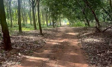 Terreno en venta en East Pattaya, Pattaya