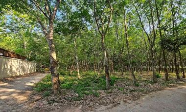 Terreno en venta en East Pattaya, Pattaya