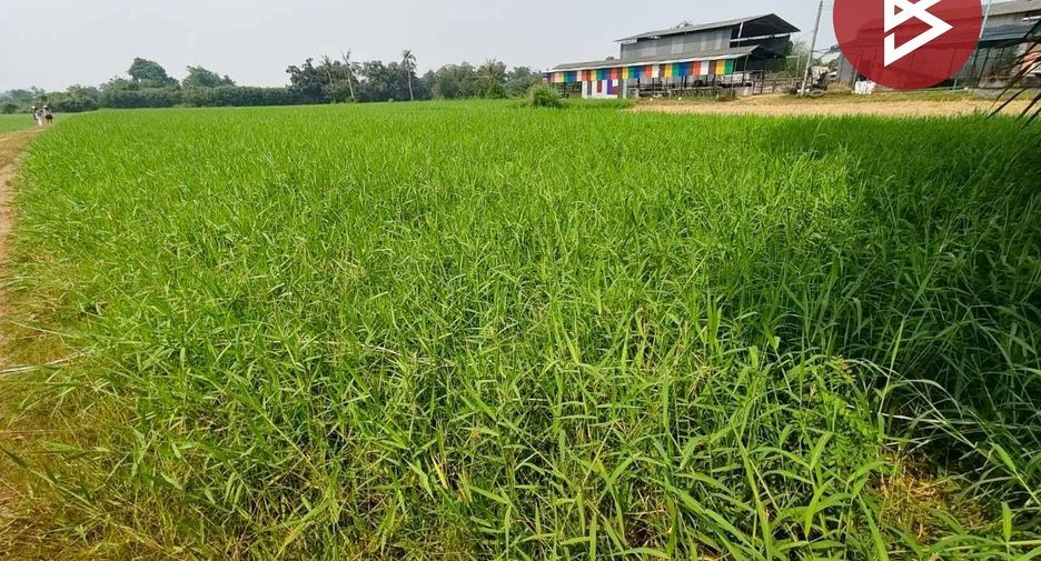 Grundstück zum Kauf in Ban Pong, Ratchaburi