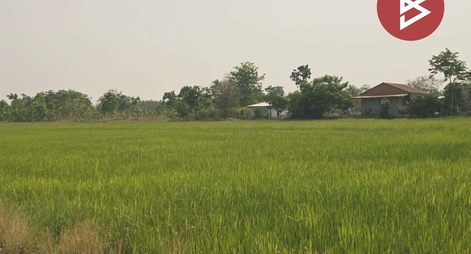 For sale land in Sam Ngam, Phichit