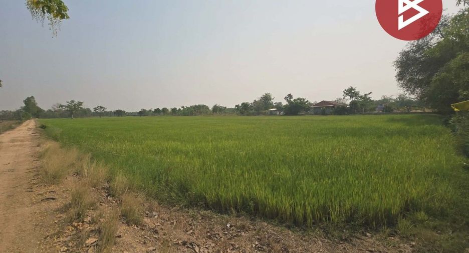 For sale land in Sam Ngam, Phichit