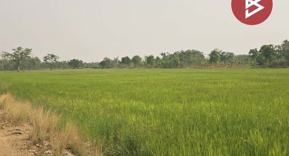 For sale land in Sam Ngam, Phichit