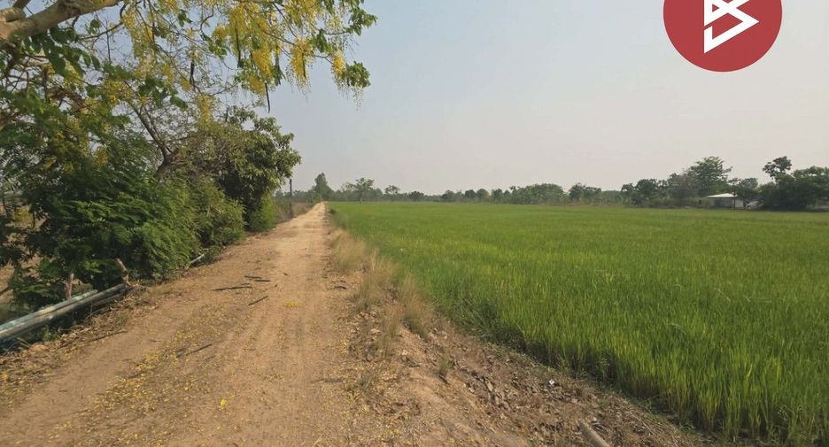 For sale land in Sam Ngam, Phichit