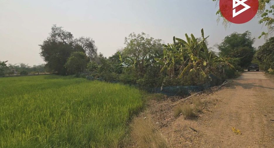 For sale land in Sam Ngam, Phichit
