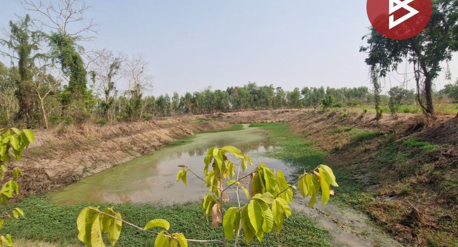 For sale land in Sam Ngam, Phichit