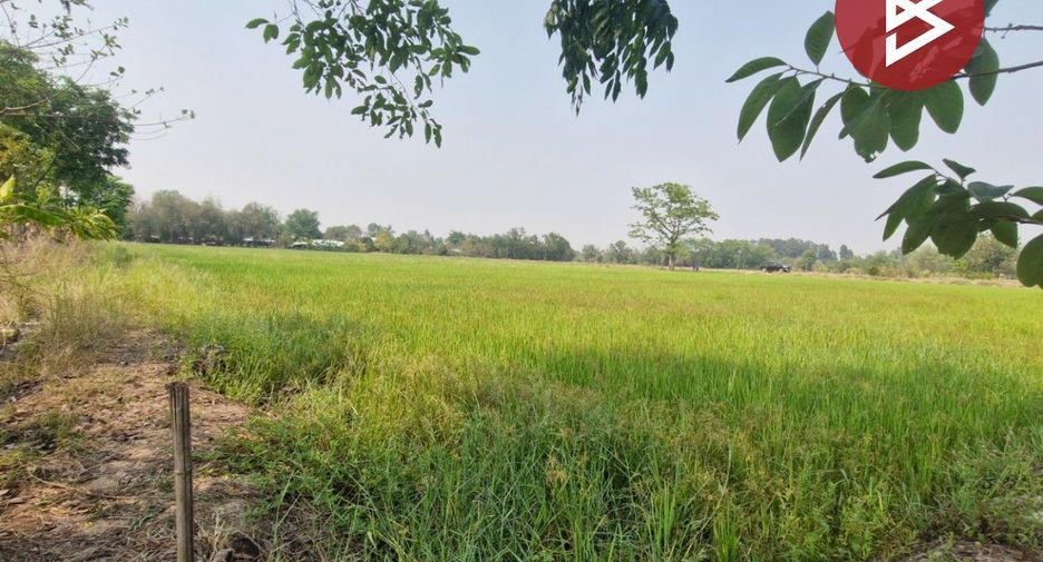 For sale land in Sam Ngam, Phichit